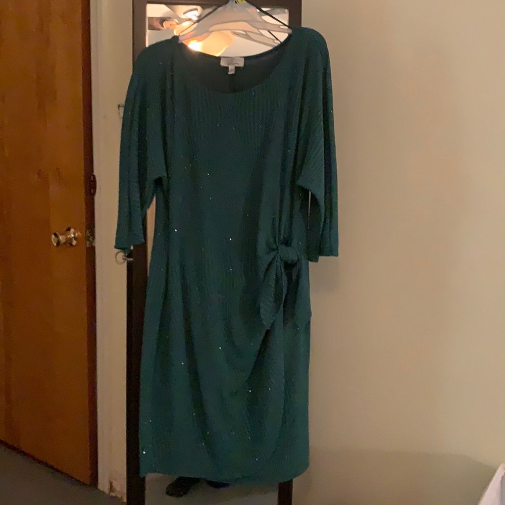 Signature by robbiebee size xl green with glitter